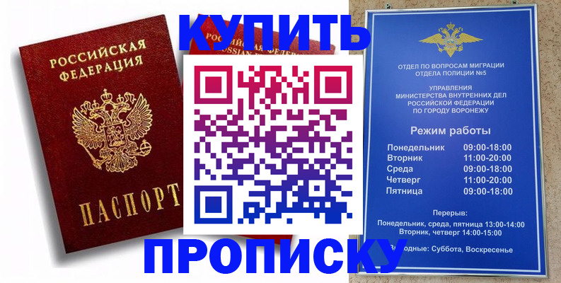 прописка штамп в Нелидово